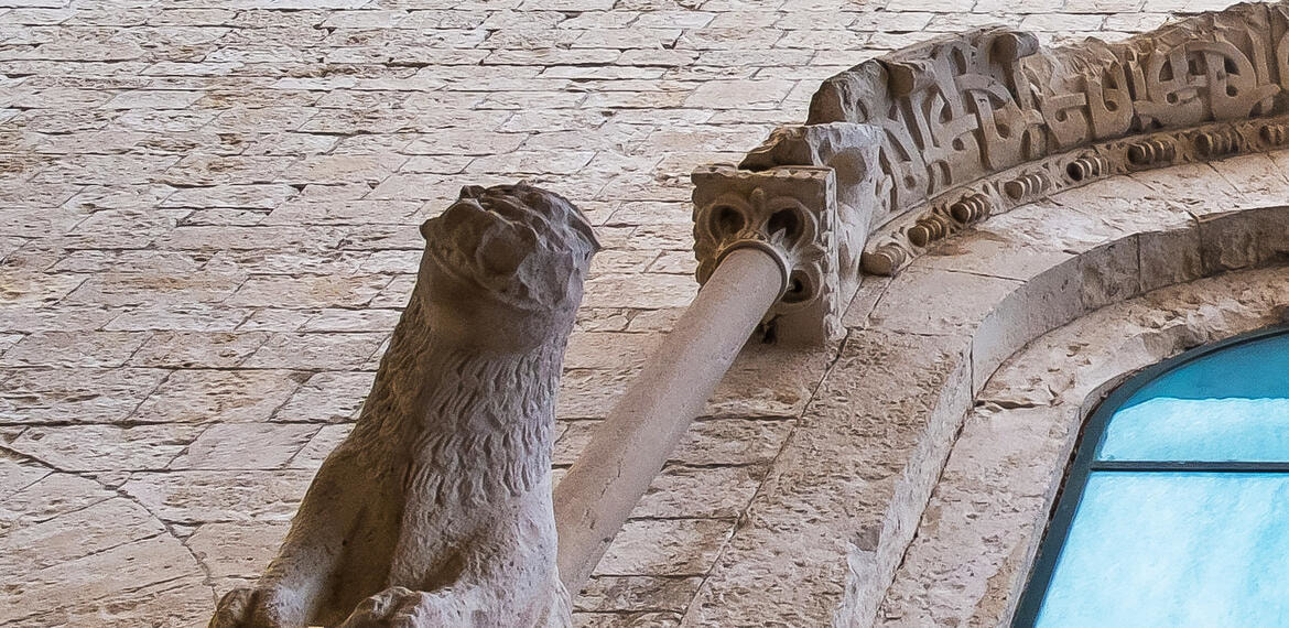 Immagine: Foto Macroaree 02 - Novità