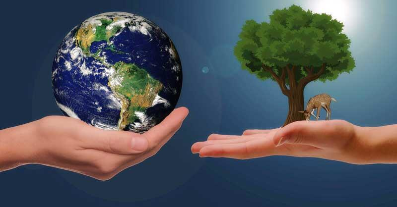 Immagine: ecologia-ambiente.jpg