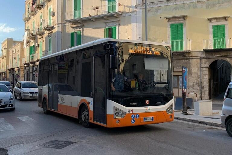 Immagine: mtm3.jpg